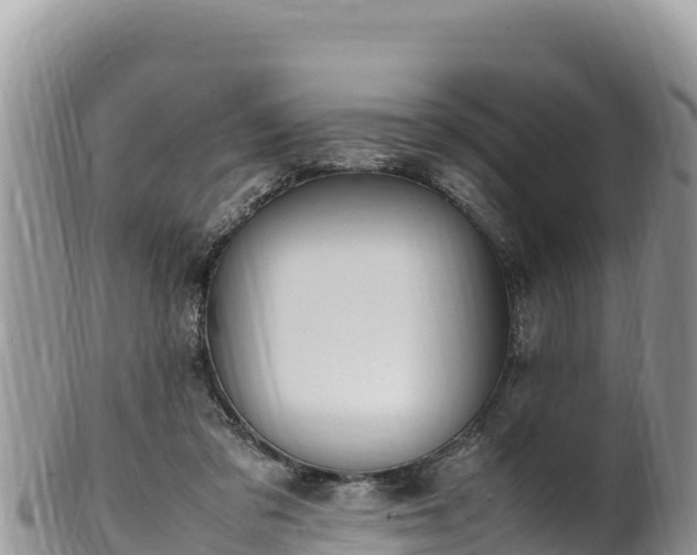 X0000102250309200808011317