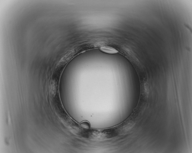 X0000102250311200808011317