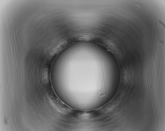 X0000102250312200808011317