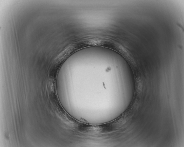 X0000102250313200808011317