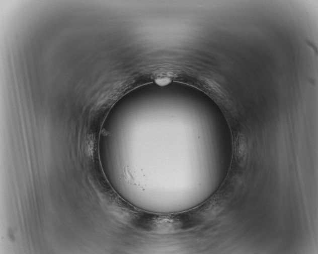 X0000102250315200808011317