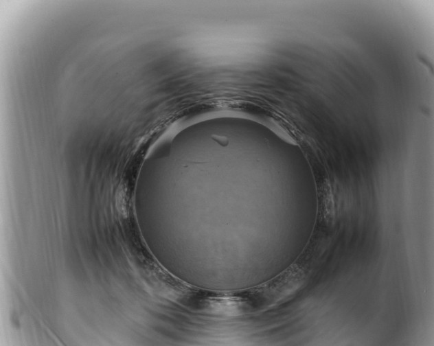 X0000102250316200808011317