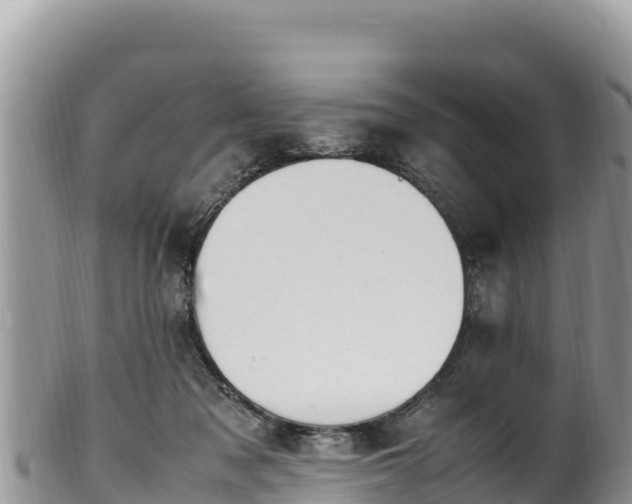 X0000102250317200808011317