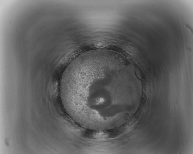 X0000102250319200808011317