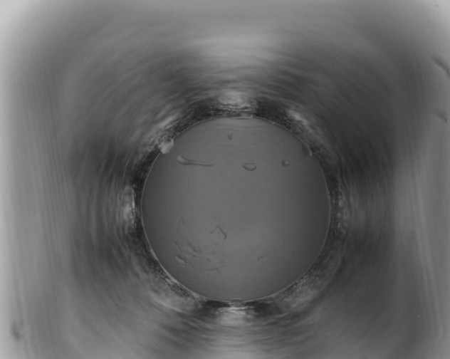 X0000102250320200808011317