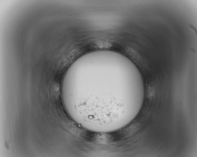 X0000102250321200808011317