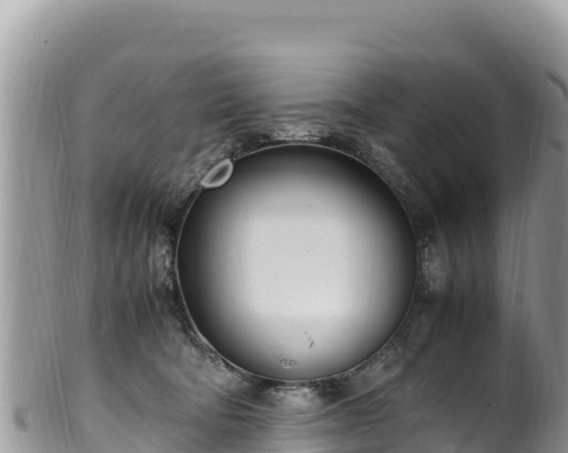 X0000102250322200808011316