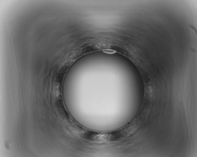 X0000102250323200808011316