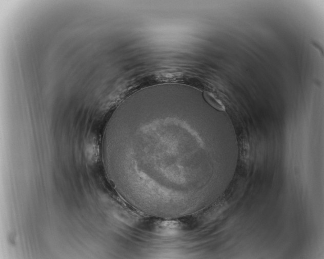 X0000102250324200808011316