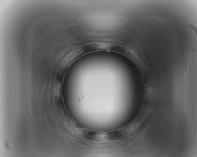 X0000102250325200808011316