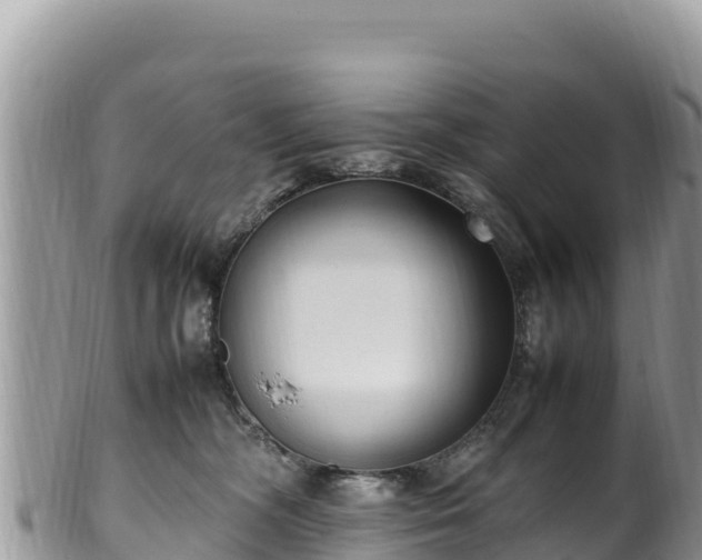 X0000102250326200808011316