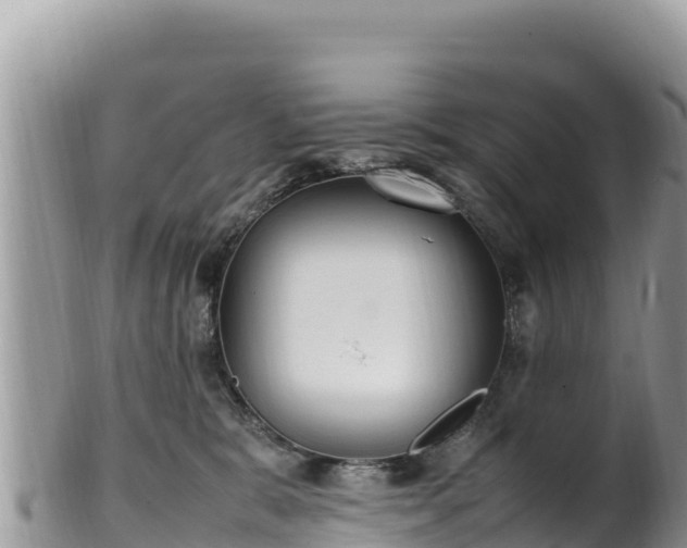 X0000102250327200808011316