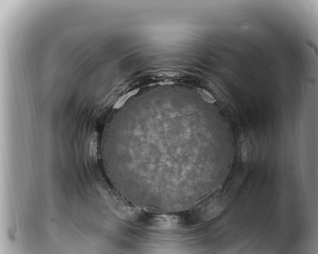 X0000102250328200808011316