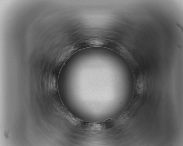 X0000102250330200808011316