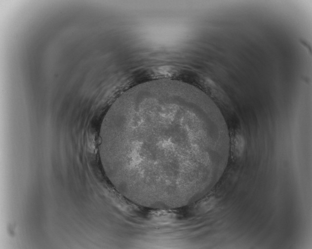 X0000102250331200808011316