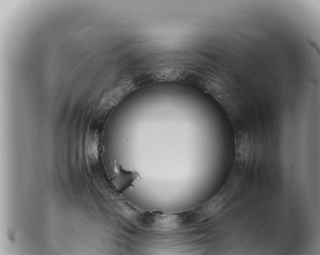 X0000102250334200808011316