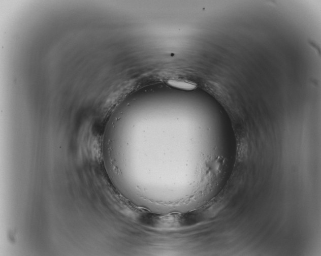 X0000102250335200808011316