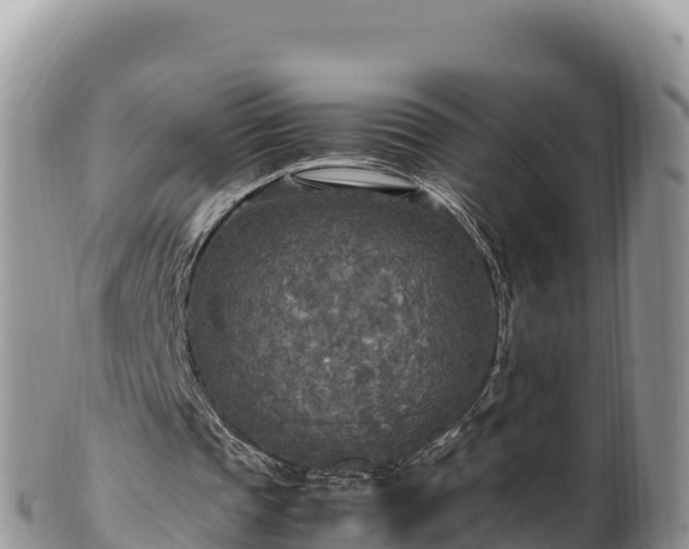 X0000102250337200808011316