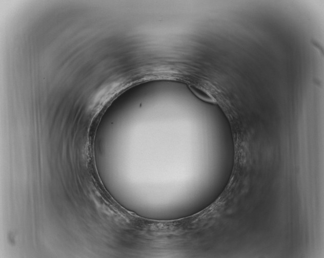 X0000102250338200808011316