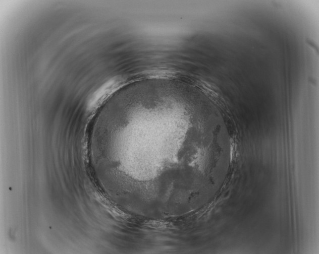 X0000102250339200808011316