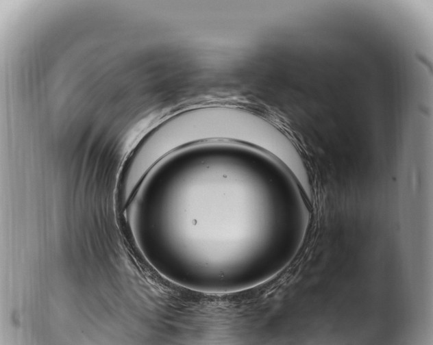 X0000102250340200808011316