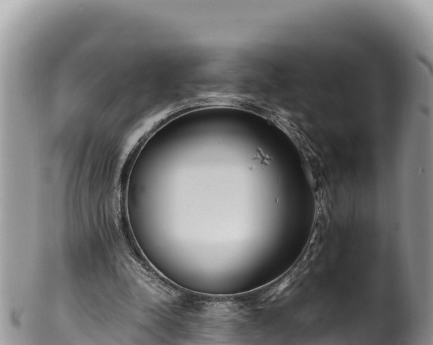 X0000102250342200808011316