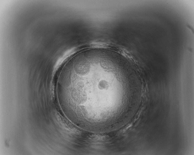 X0000102250343200808011316