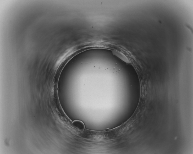 X0000102250344200808011316