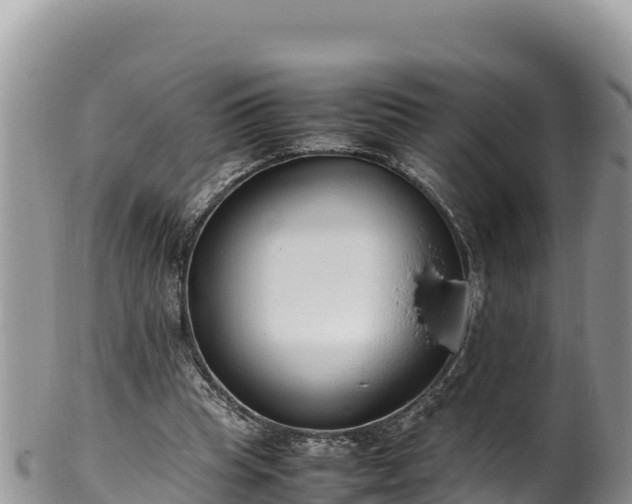 X0000102250345200808011316