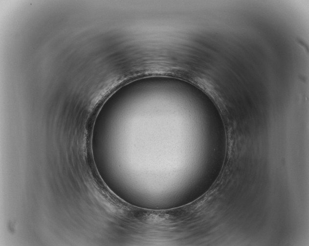 X0000102250346200808011316