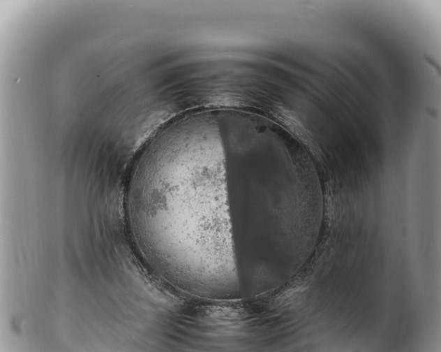 X0000102250347200808011316