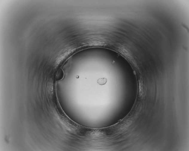 X0000102250348200808011316