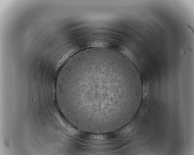 X0000102250349200808011316