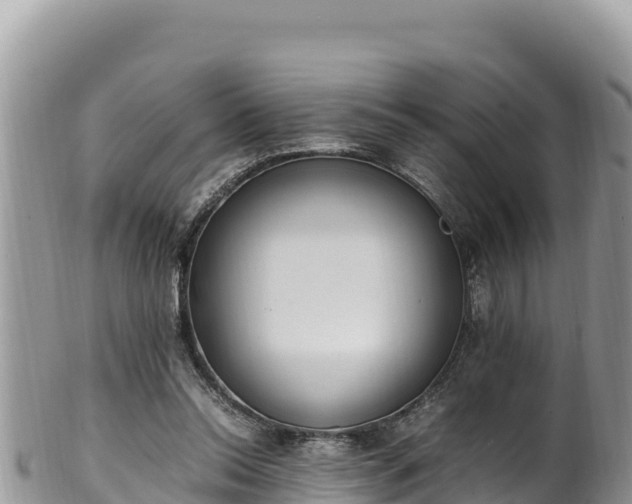 X0000102250350200808011316