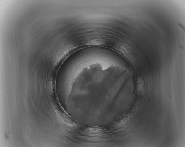 X0000102250351200808011316