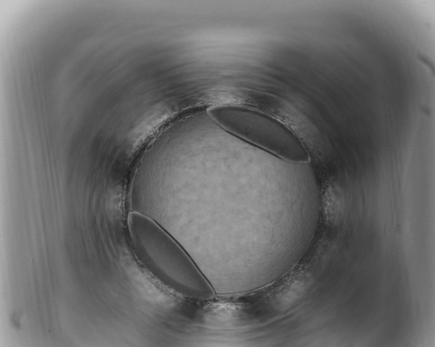 X0000102250352200808011316