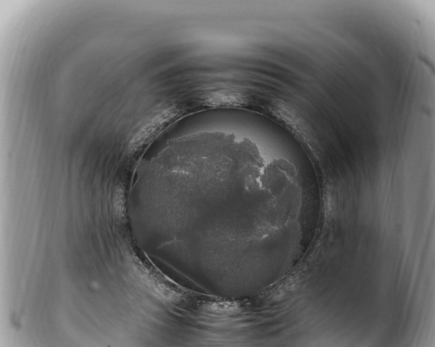 X0000102250353200808011316