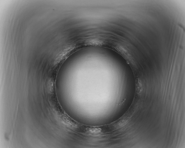 X0000102250355200808011316