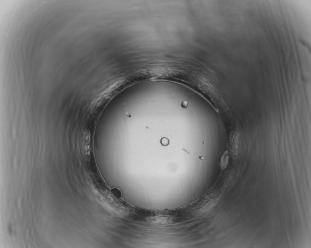 X0000102250356200808011316