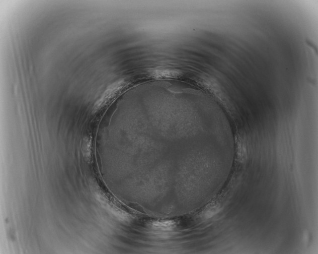 X0000102250357200808011316