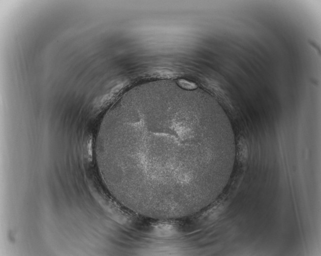 X0000102250358200808011316