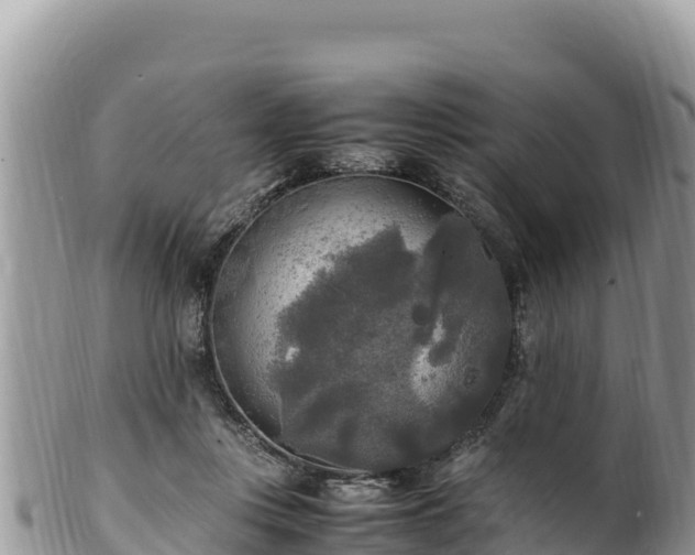 X0000102250359200808011316