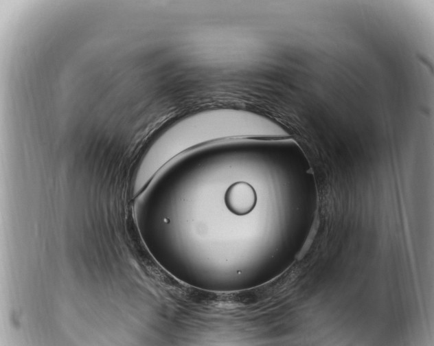 X0000102250360200808011316