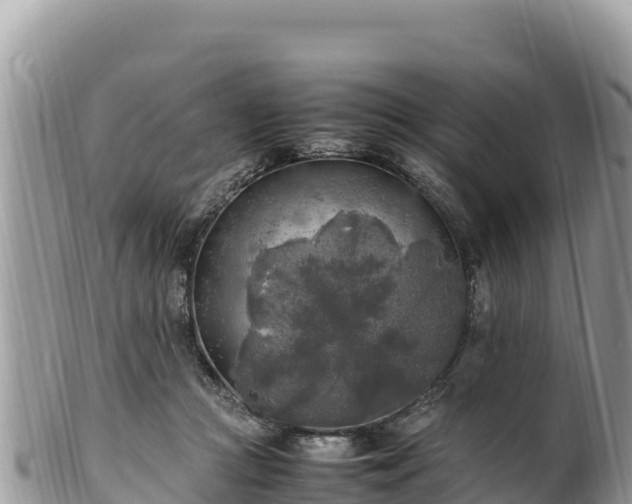 X0000102250361200808011316