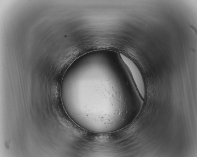 X0000102250362200808011316