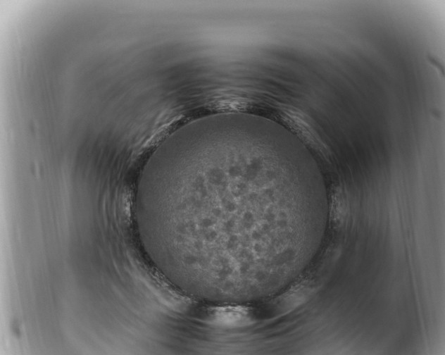 X0000102250363200808011316