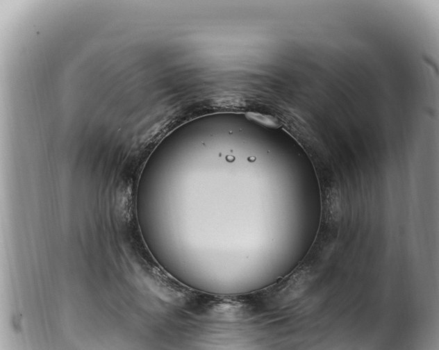 X0000102250364200808011316