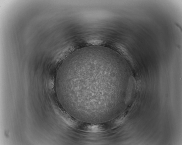 X0000102250365200808011316