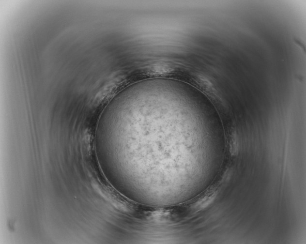 X0000102250366200808011316