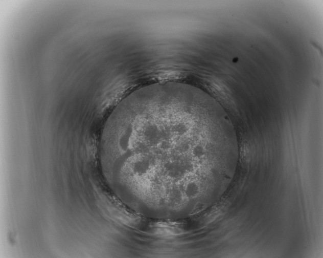 X0000102250367200808011316